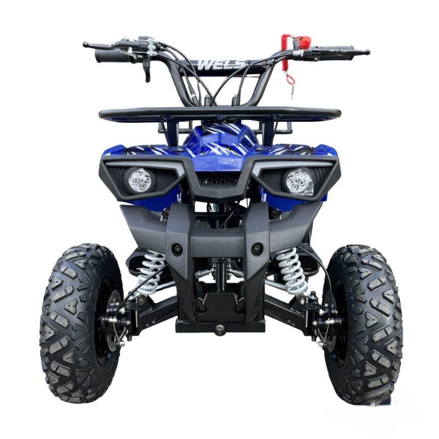 Купить Квадроцикл WELS Thunder mini 2T в Москве фото2