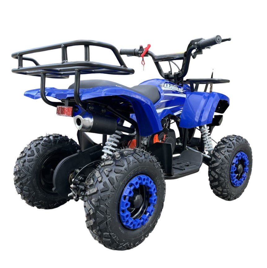 Купить Квадроцикл WELS Thunder mini 2T в Москве фото4
