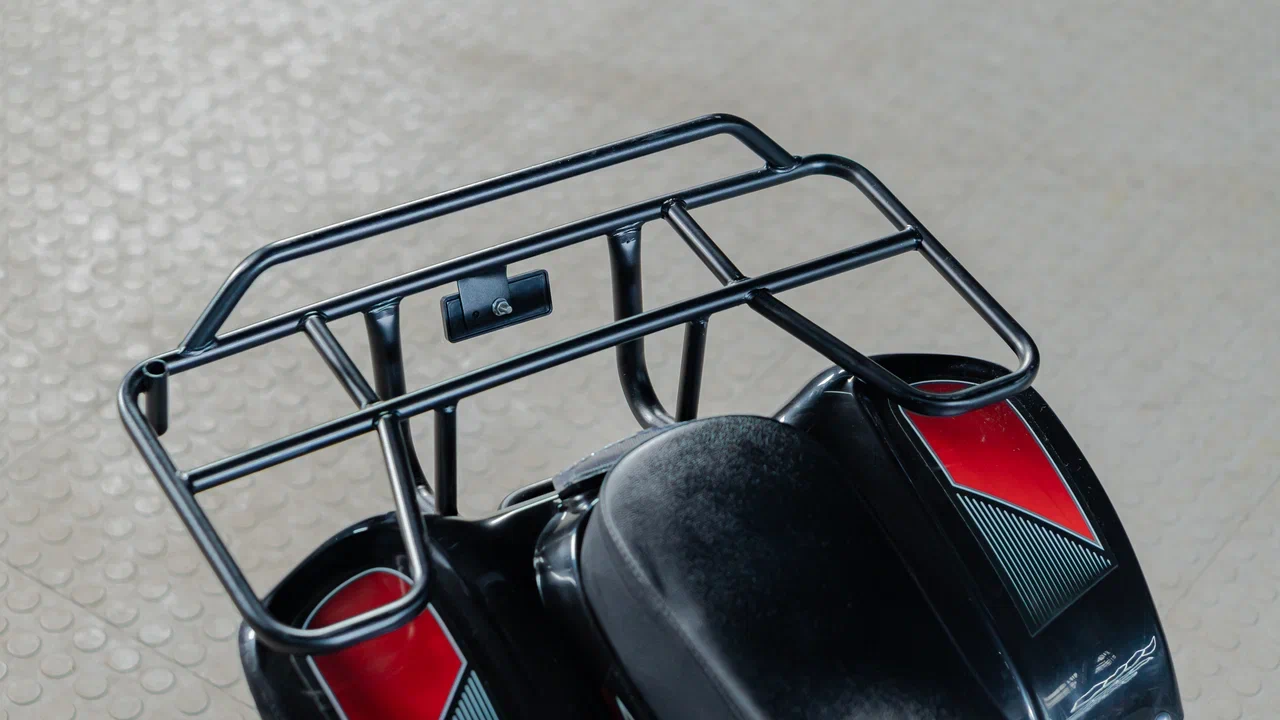 Купить Снегоцикл TIGER Universal 150 в Москве фото26