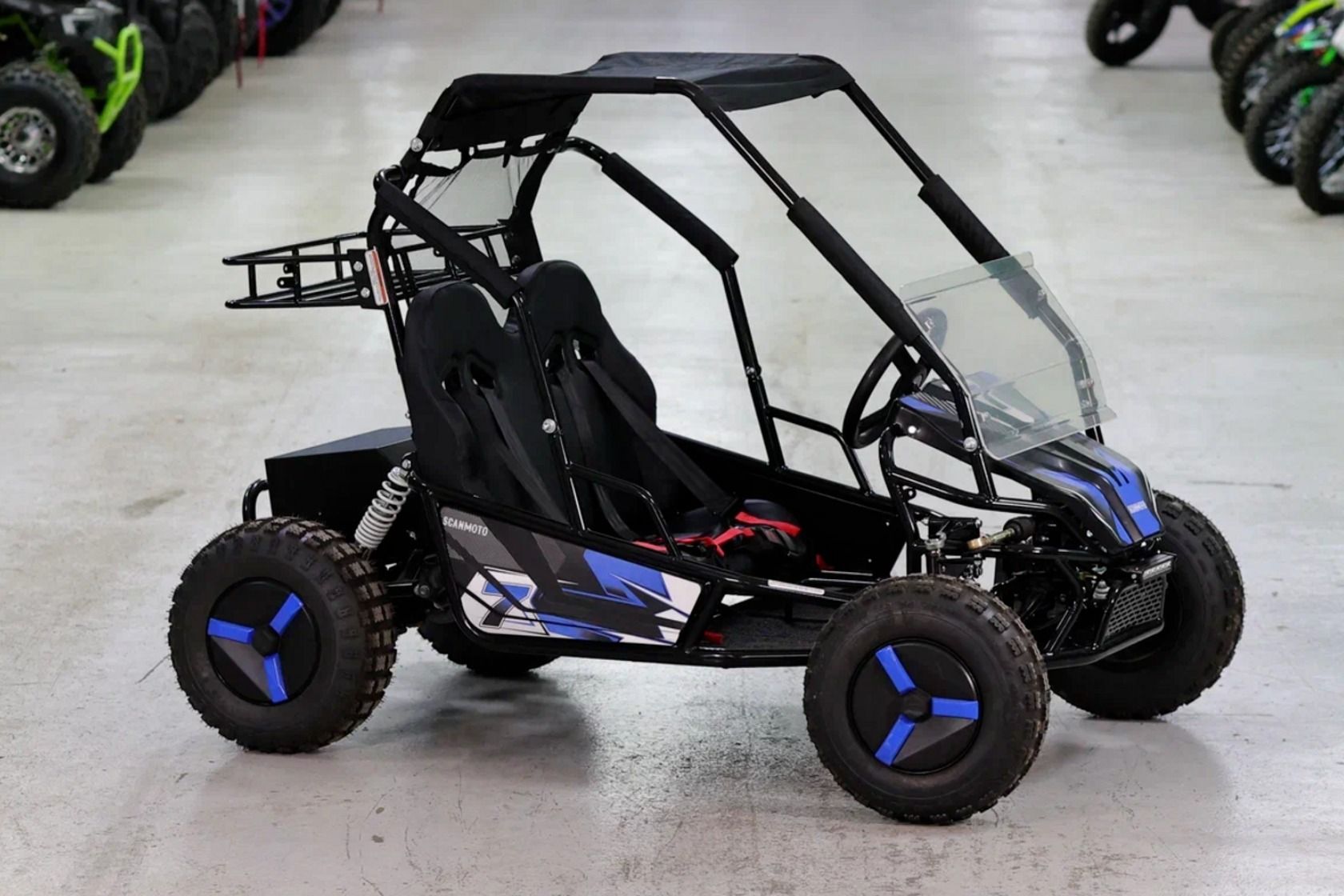 Купить Багги SCANMOTO Rapid II в Москве фото2