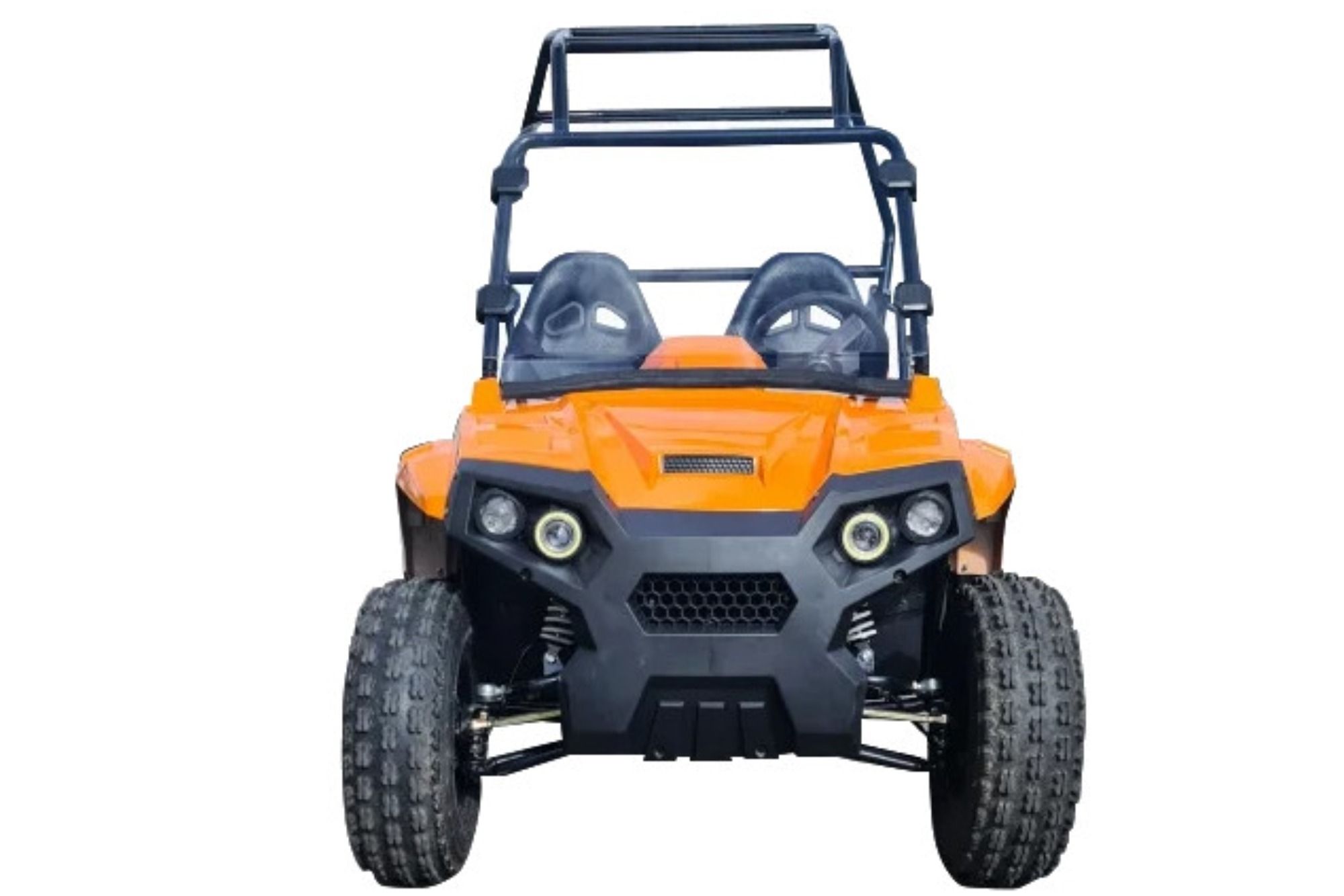 Купить Багги SCANMOTO Raptor в Москве фото2