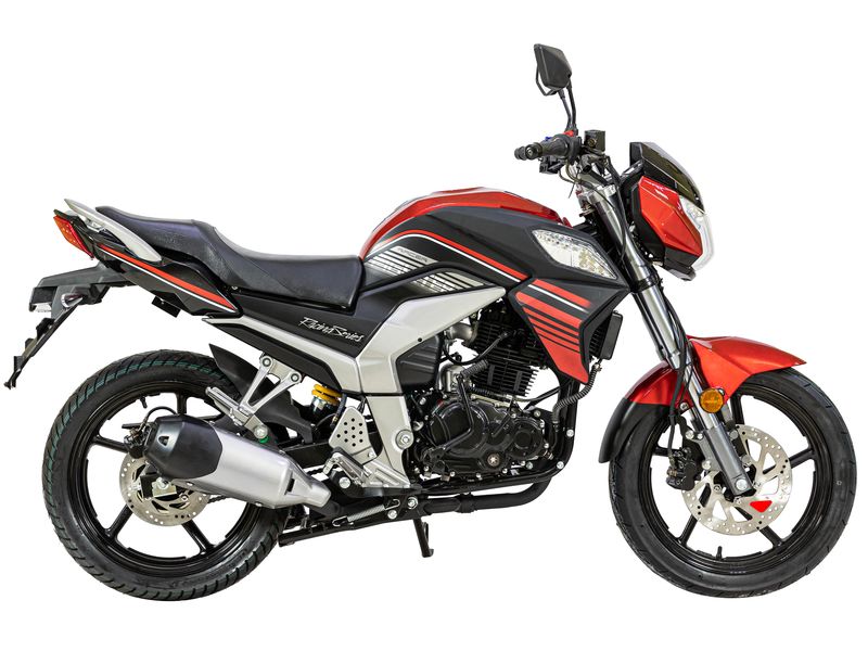 Купить Мотоцикл RACER RC300CK-N FIGHTER ТУРЭНДУРО в Москве