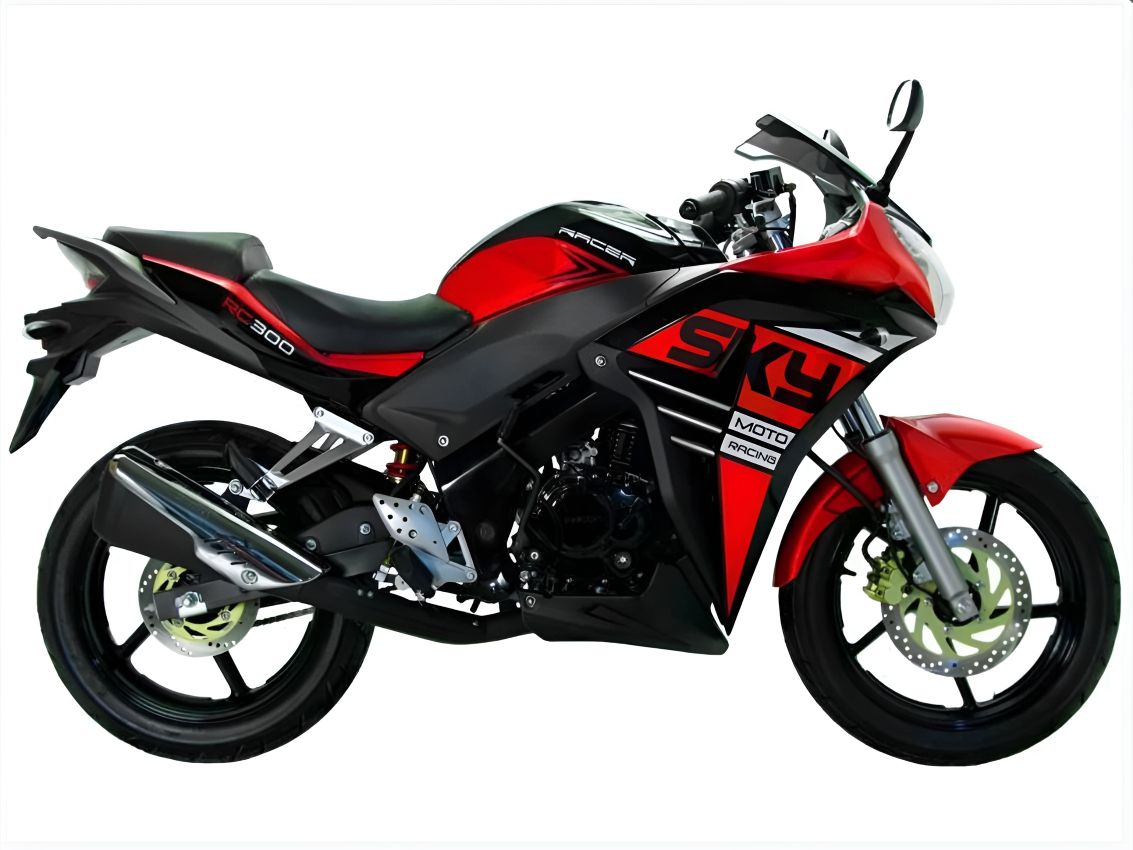 Купить Мотоцикл RACER Skyway RC300CS ENDURO в Москве