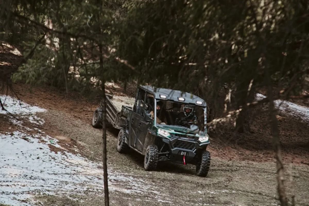 Купить Багги LONCIN UWolf 1000 в Москве фото3