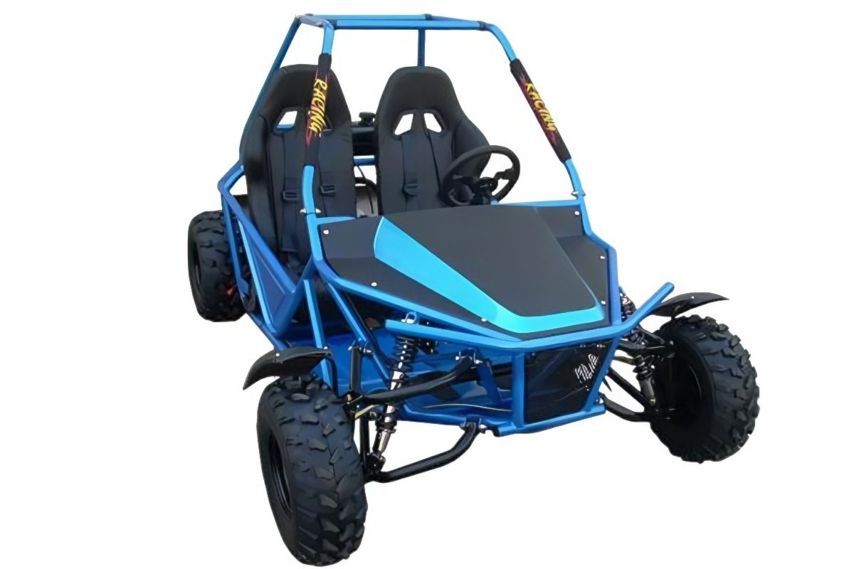 Купить Багги YACOTA Cobra 200 гоночный в Москве фото2