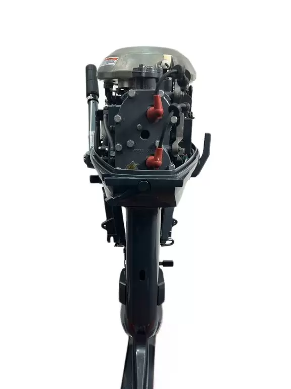 Купить 2х-тактный лодочный мотор BAIKAL 30HP в Москве фото2