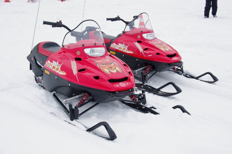 Купить Снегоход РУССКАЯ МЕХАНИКА Тайга Рысь Детский в Москве фото7