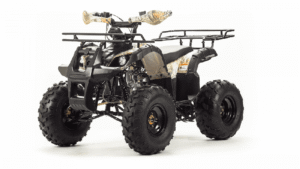 Купить Квадроцикл MOTOLAND 125 Fox 