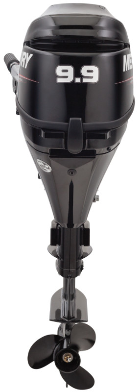 Купить 4х-тактный лодочный мотор MERCURY ME F 9.9M в Москве фото9