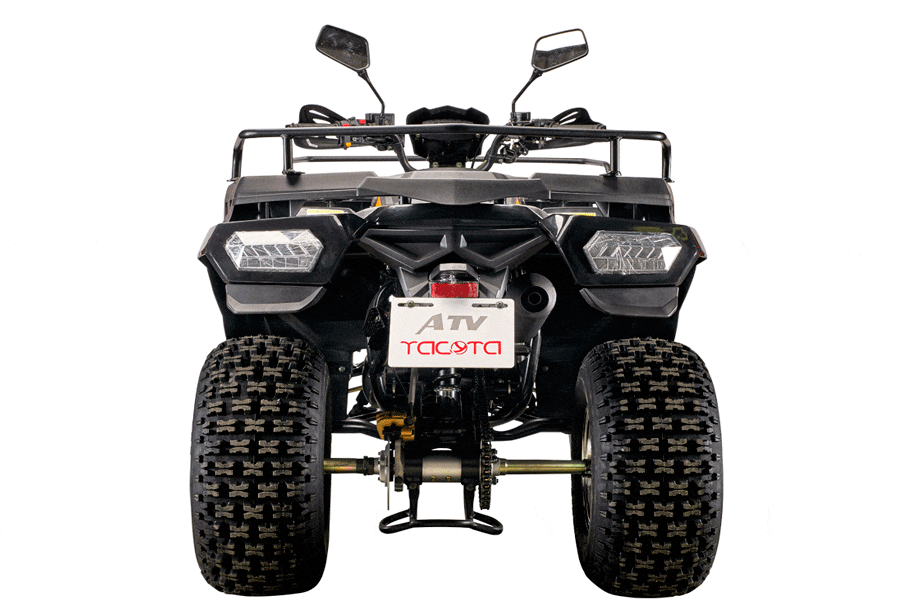 Купить Квадроцикл YACOTA Cabo 200 LD в Москве фото3