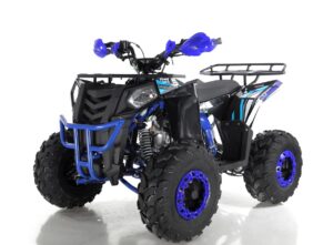 Купить Квадроцикл WELS Thunder EVO 