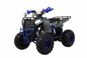 Купить Квадроцикл WELS Thunder Evo X ST 