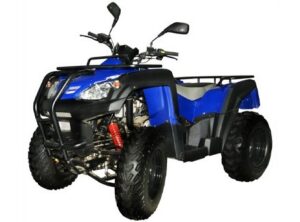 Купить Квадроцикл ADLY 320 U 2WD (с цепным приводом) 