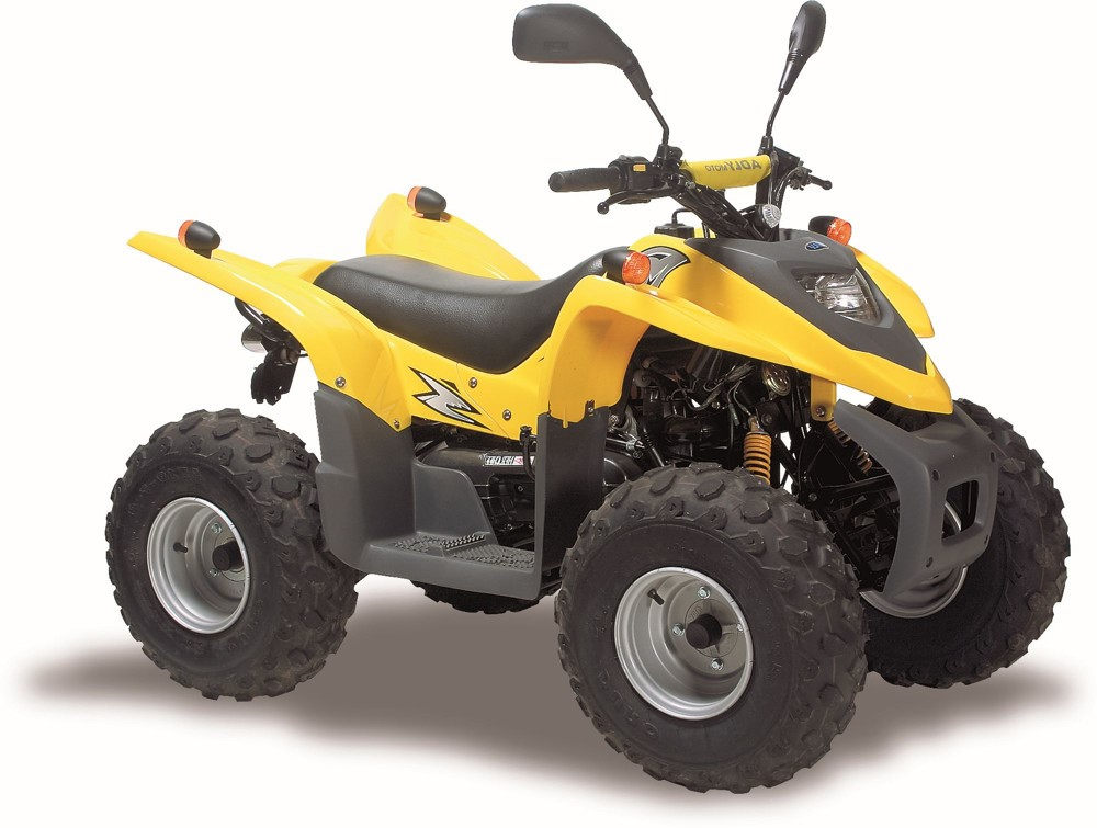 Купить Квадроцикл ADLY 100 в Москве фото2