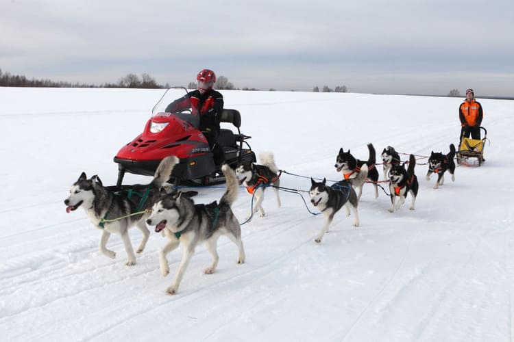 Купить Снегоход РУССКАЯ МЕХАНИКА Тайга Варяг 550V в Москве фото12