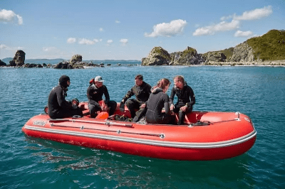 Купить Лодка ПВХ COMPAS 500 в Москве